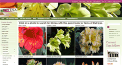 Desktop Screenshot of cliviausa.com